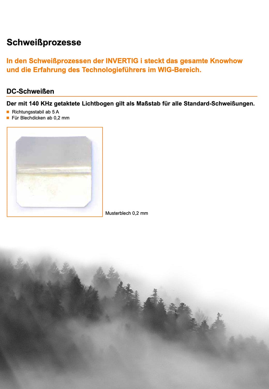 WIG Schweißgerät INVERTIG i 310 AC/DC HIGH kostenloser Versand